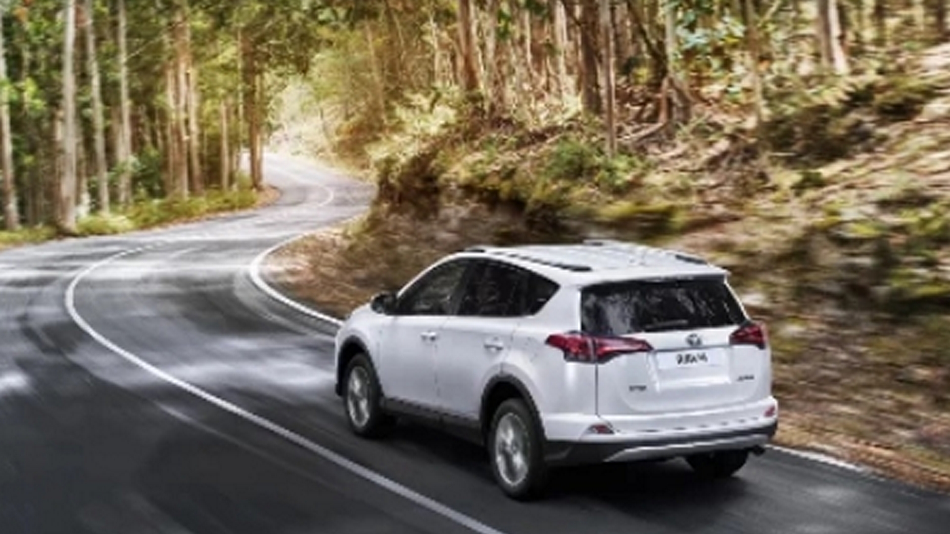 Toyota RAV4 2.5L 2019 4WD